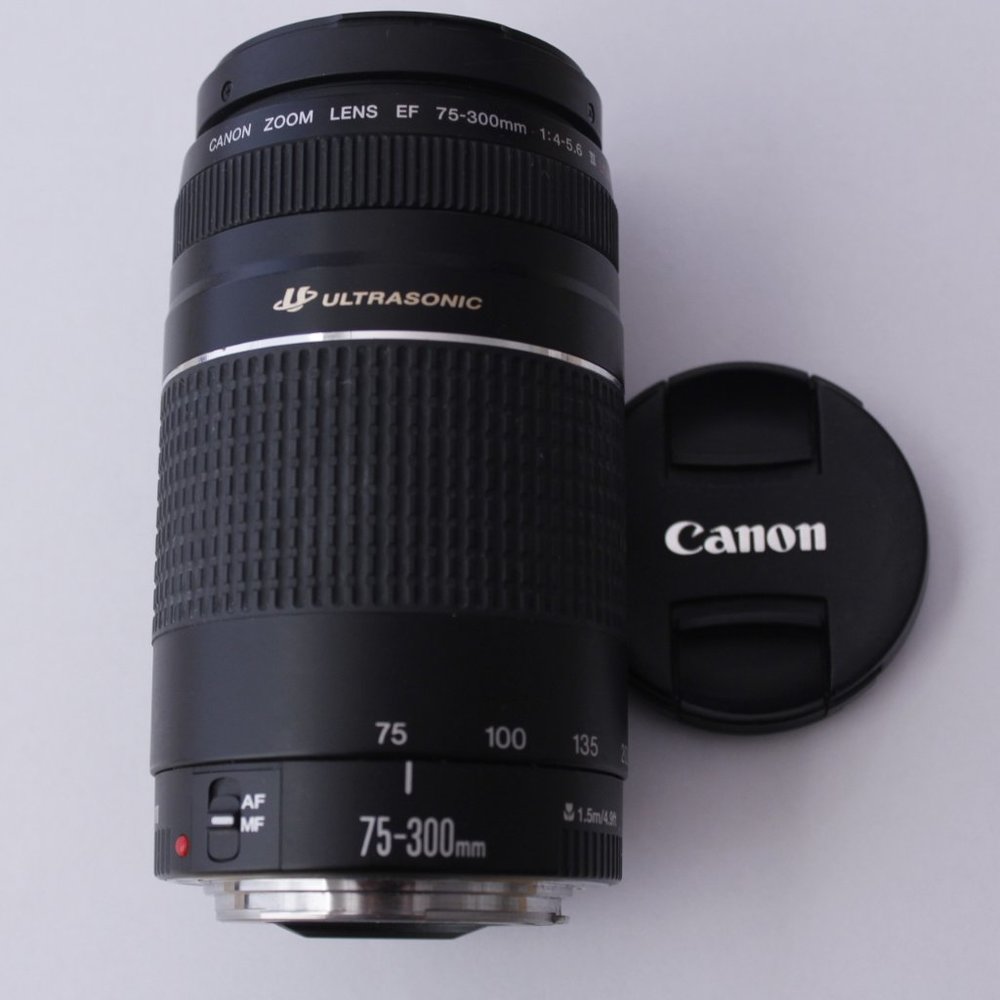 Canon Ultrasonic Lens| Canon zoom Lens EF 75-300mm (🎉🎉$250 FREE SHIPPING)